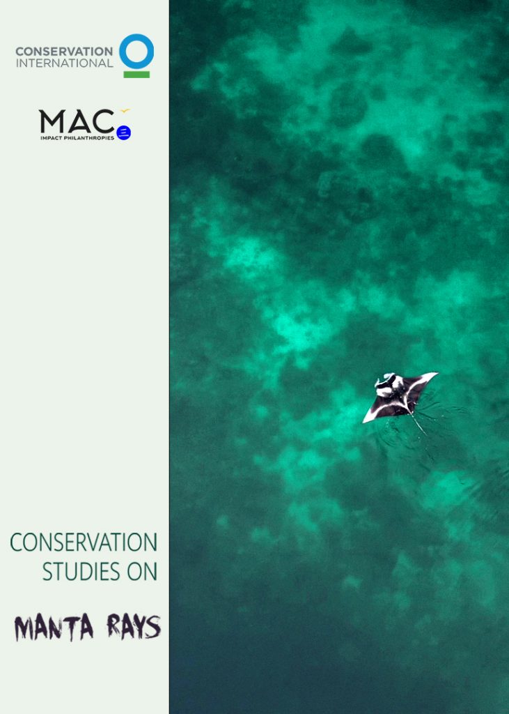 manta-rays