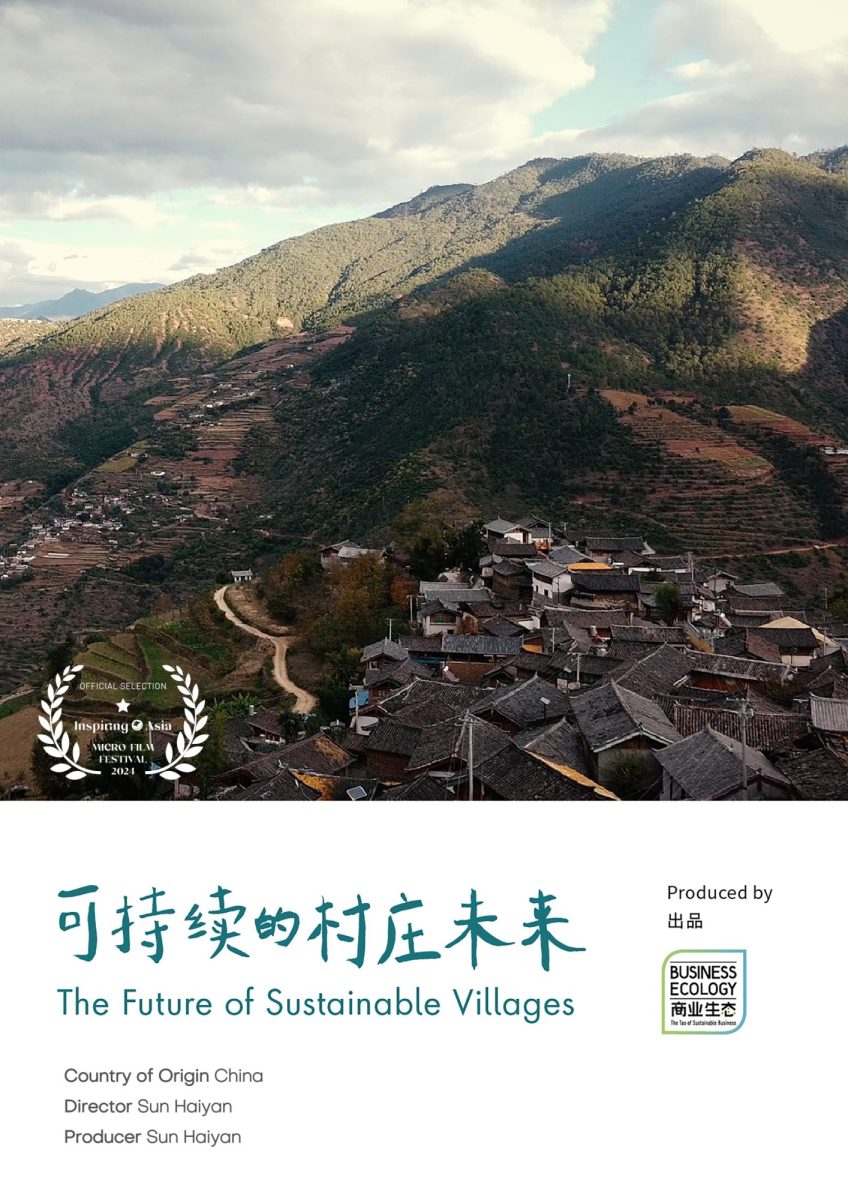 The Future of Sustainable Villages