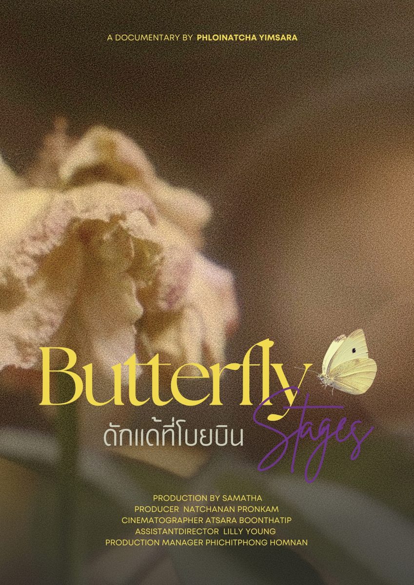 Butterfly Stages